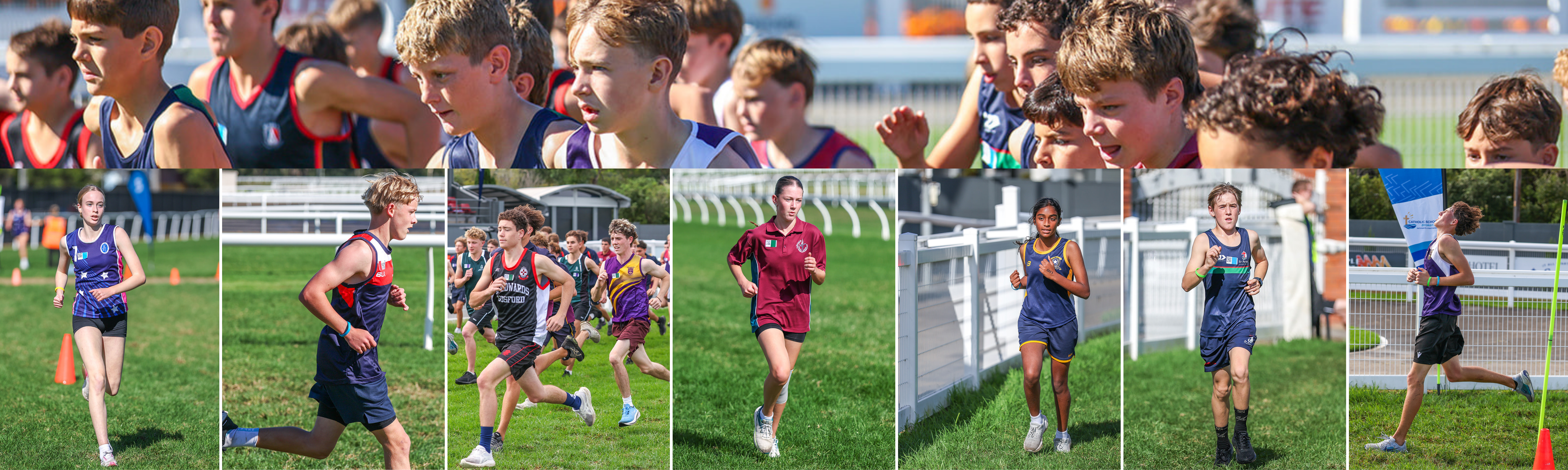 SS XC Banner 2026 v2